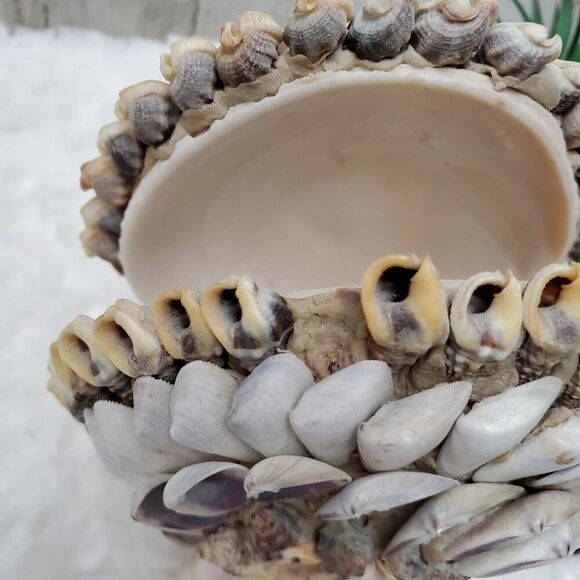 Vintage 1950 Handmade Seashell Napkin Holder - Picture 7 of 8